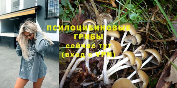 круглые Белокуриха