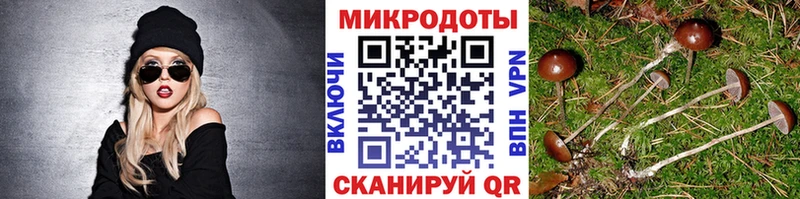 Псилоцибиновые грибы прущие грибы Купить где Кольчугино
